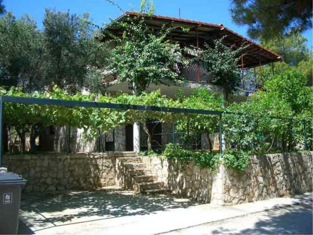 Visforyou Apartment